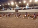 2012-11-13 17-36-25 Formations equestres